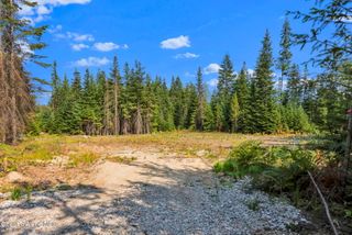 L13B1 Leonard Loop, Athol, ID 83801