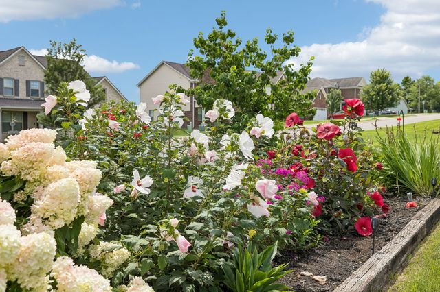 201 Waltons Way, Spring Hill, TN 37174