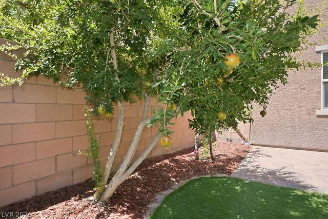 8727 Cerrito Canyon Court, Las Vegas, NV 89148