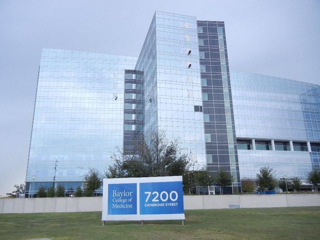 2120 El Paseo Street 808, Houston, TX 77054