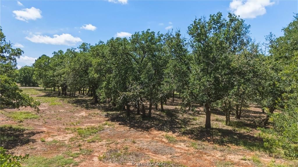 5950 Old Spanish Trail, Bryan, TX 77807 — photo 4