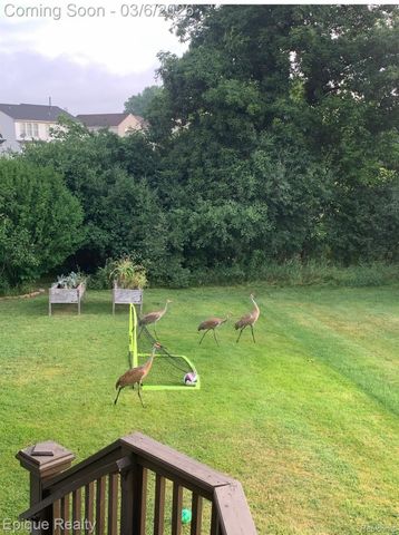 7858 Turrillium Lane, Waterford Charter Township, MI 48327