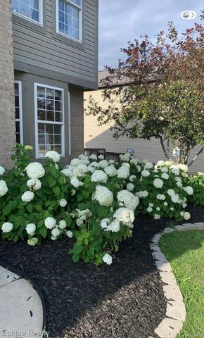 7858 Turrillium Lane, Waterford Charter Township, MI 48327