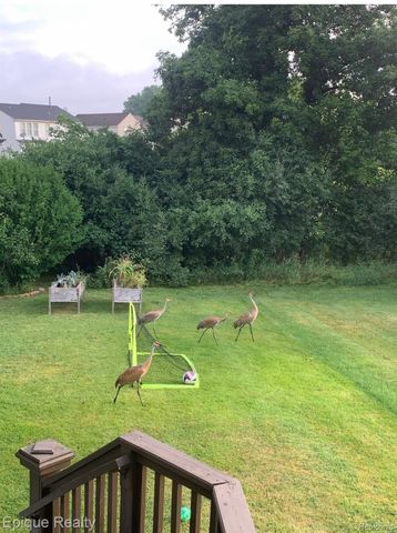 7858 Turrillium Lane, Waterford Charter Township, MI 48327