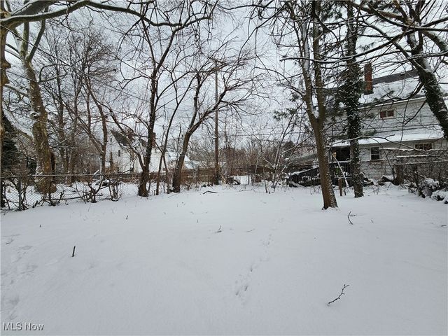 1331 E 88th Street, Cleveland, OH 44106