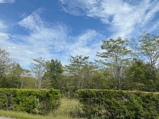 8919 Carlton Rd, Christiana, TN 37037