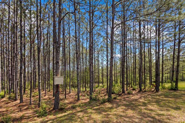 14912 Highway 69 N, Kountze, TX 77663