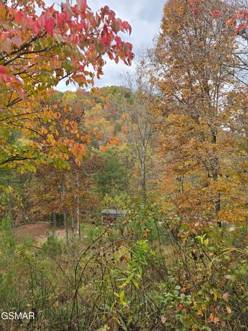 1420 Russell Hollow Road, Sevierville, TN 37876