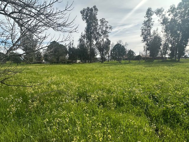 12079 Alta Vista Court, Red Bluff, CA 96080