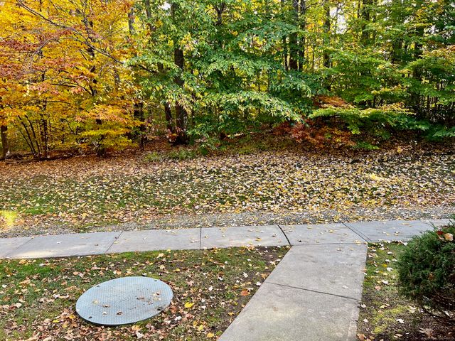 308 Conestoga Way 308, Glastonbury, CT 06033