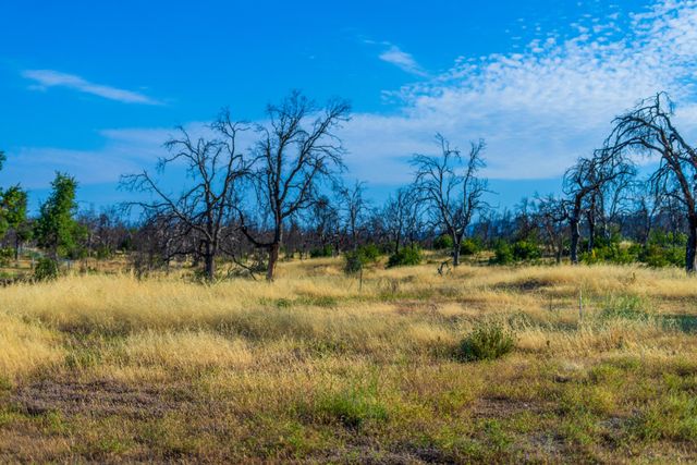 17007 Keswick Dam Road, Redding, CA 96003