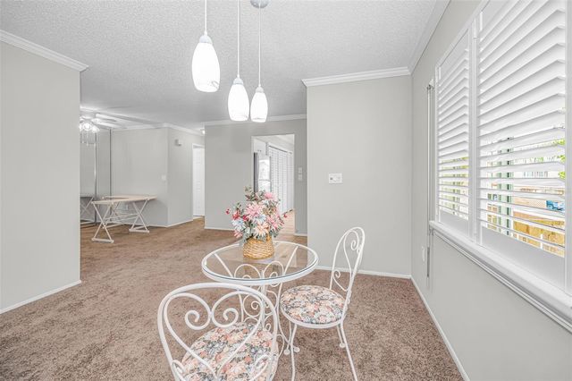 3835 LIGHTHOUSE WAY, New Port Richey, FL 34652