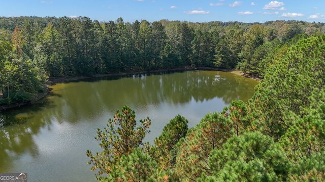 21 Long Branch Trail, Sharpsburg, GA 30277