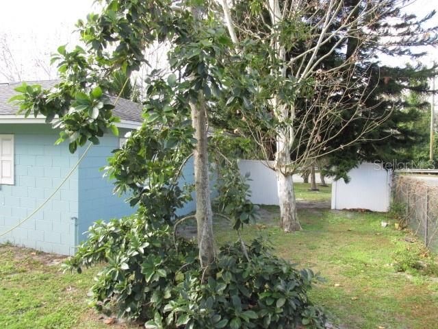 1632 N FULLERS CROSS ROAD, Winter Garden, FL 34787