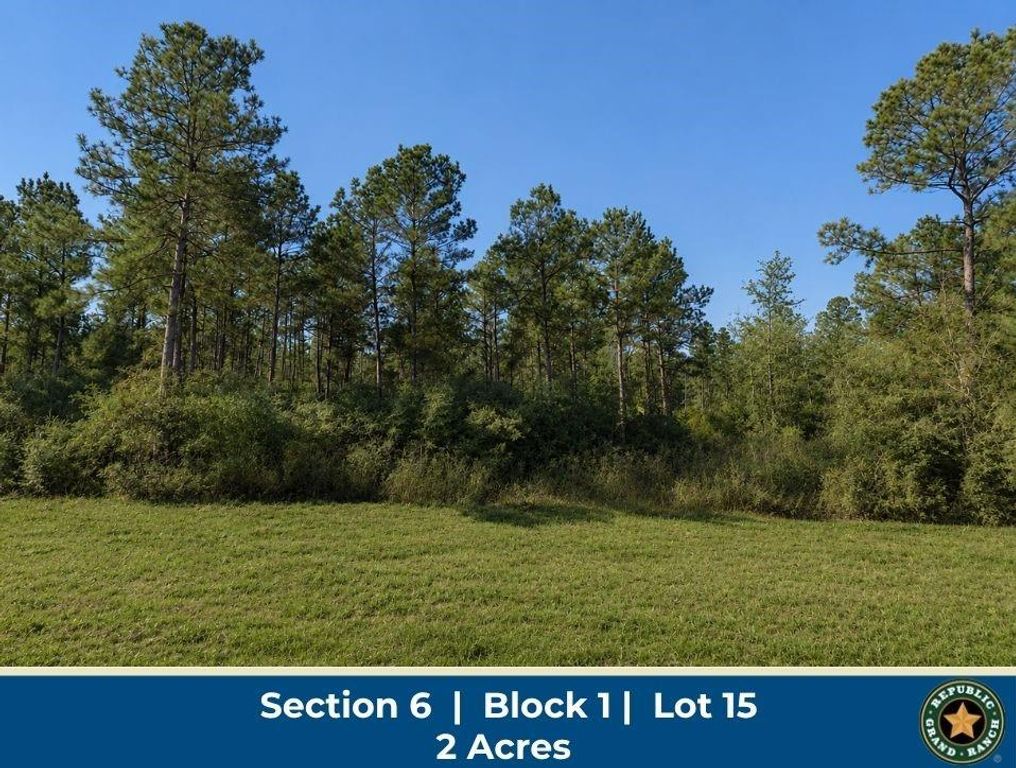 11706 Grand North Road, Willis, TX 77378
