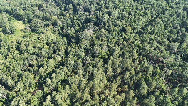 0 Swamp Road, Beech Island, SC 29842