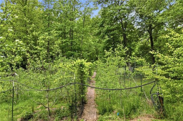 1801 Soap Creek Road, Ball Ground, GA 30107