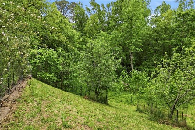 1801 Soap Creek Road, Ball Ground, GA 30107