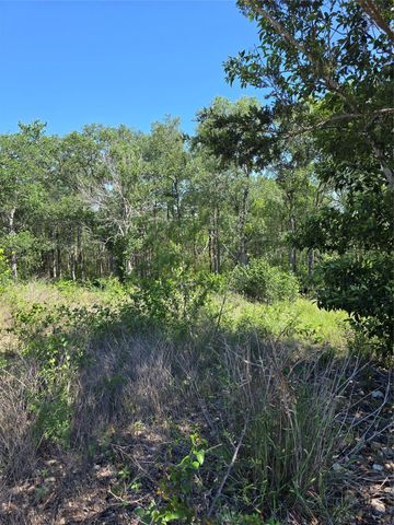 693 Santa Teresa RD, Kyle, TX 78640