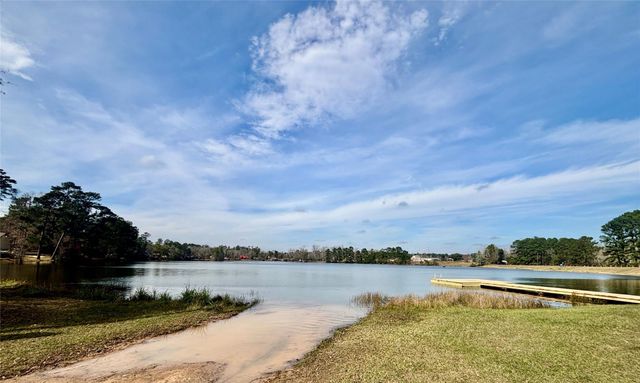 10668 Royal Magnolia Drive, Conroe, TX 77303