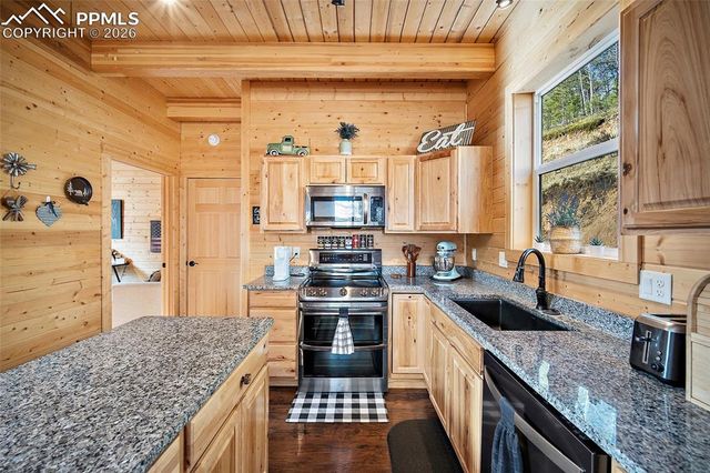 213 Willow Road, Divide, CO 80814