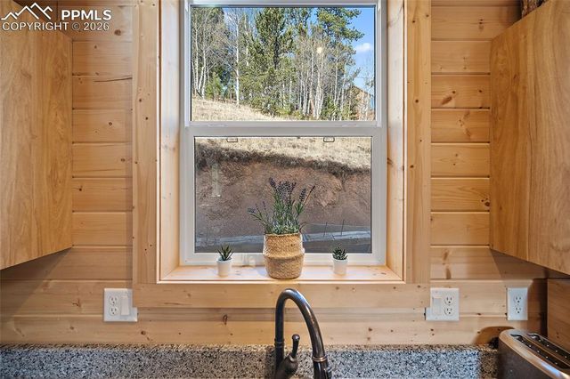 213 Willow Road, Divide, CO 80814