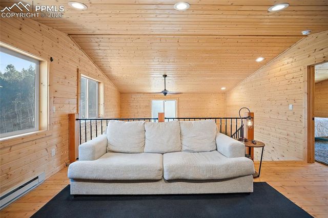 213 Willow Road, Divide, CO 80814