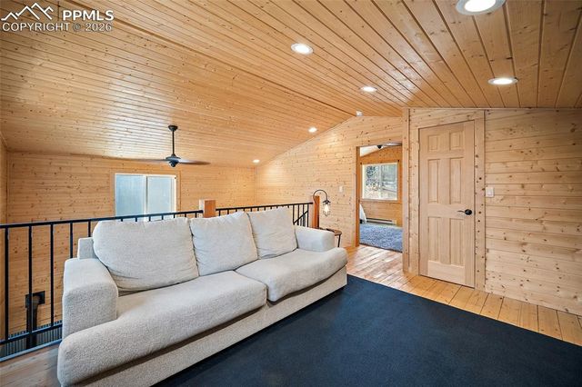 213 Willow Road, Divide, CO 80814