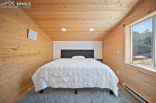 213 Willow Road, Divide, CO 80814