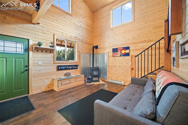 213 Willow Road, Divide, CO 80814