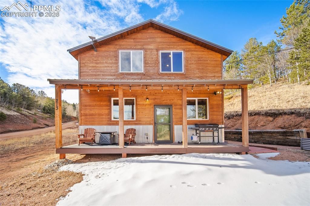 213 Willow Road, Divide, CO 80814