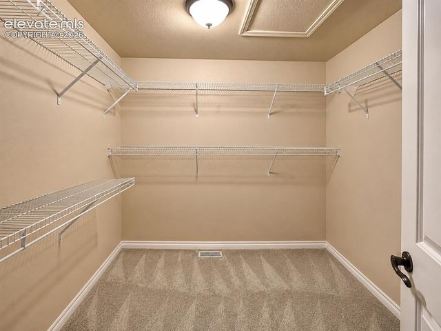 8046 Mount Hayden Drive, Colorado Springs, CO 80924
