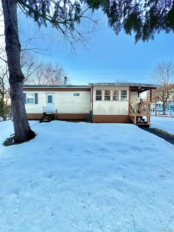 20 Tenth Street, Catskill, NY 12414