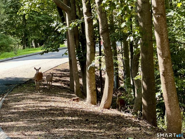 6A South Brook Drive, Stamford, CT 06903