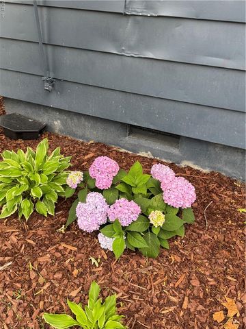 3404 Tidewater DR, Norfolk, VA 23509