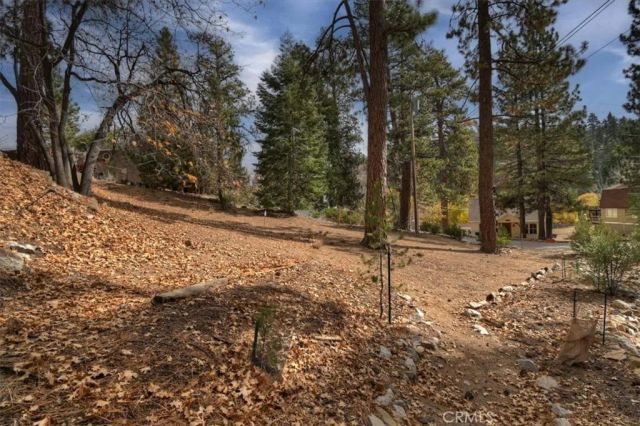 929 Andrew, Big Bear Lake, CA 92315