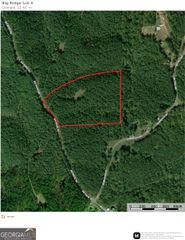 21 ACRES Big Ridge Road, Ranger, GA 30734