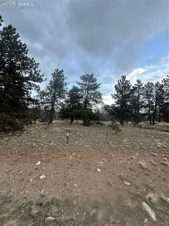 72 Sulky Court, Hartsel, CO 80449 — exterior