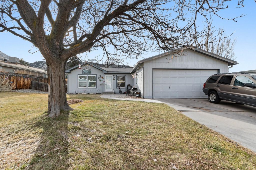 203 E Tamarack Circle, Battlement Mesa, CO 81635
