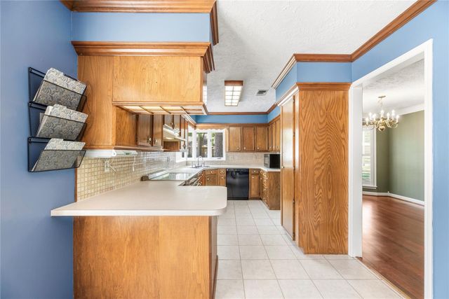 14818 Cedar Point Drive, Houston, TX 77070