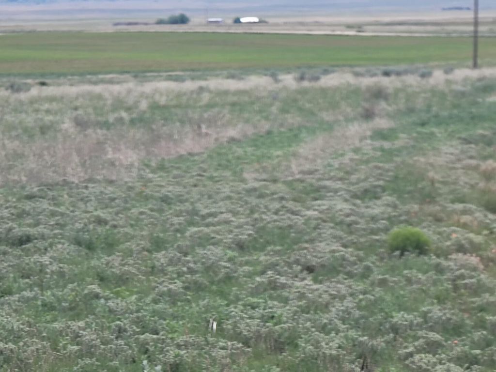 22 Colella Road, Stanley, NM 87056