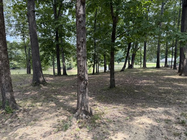 0 Bobs Lake Ln, Bath Springs, TN 38311