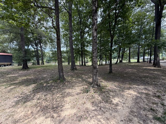 0 Bobs Lake Ln, Bath Springs, TN 38311