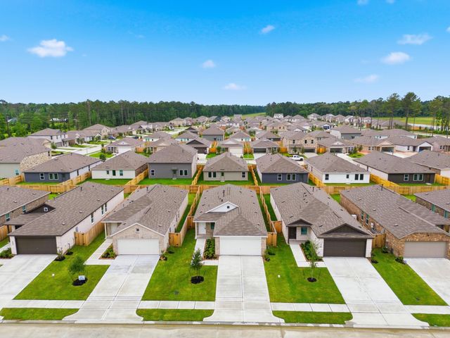 1523 Gardenia Blossom, Crosby, TX 77523