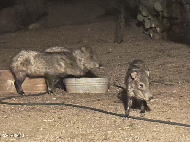 7530 W Bucking Horse Road, Sahuarita, AZ 85629