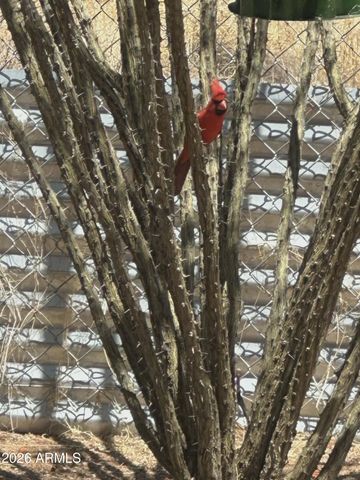 7530 W Bucking Horse Road, Sahuarita, AZ 85629