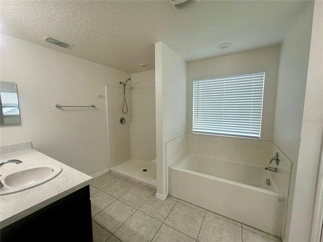 125 VILLAVISTA COURT, Davenport, FL 33896
