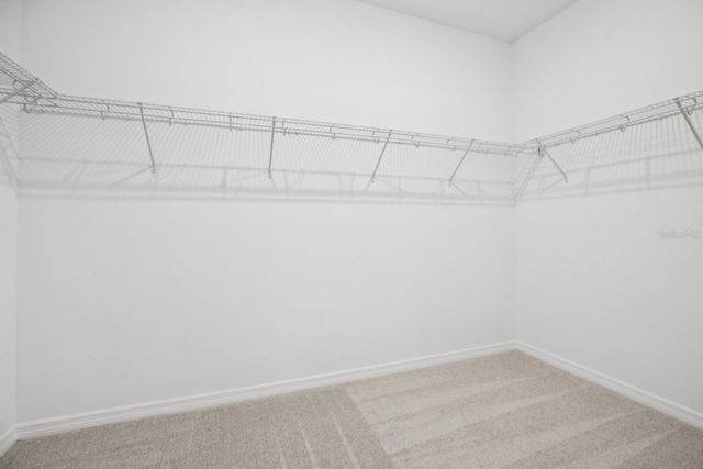 17621 JAPONICA BLOOM DRIVE, Winter Garden, FL 34787