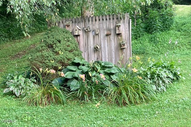 261 Calvary Lane, Mountain City, TN 37683