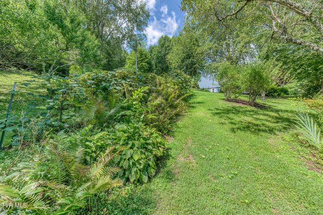 261 Calvary Lane, Mountain City, TN 37683